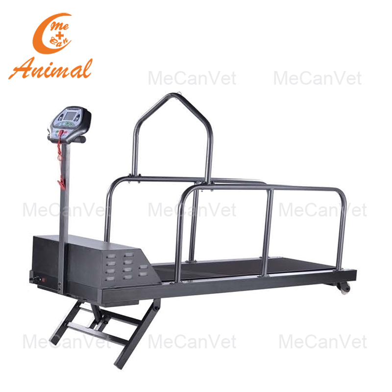 dog walking treadmill